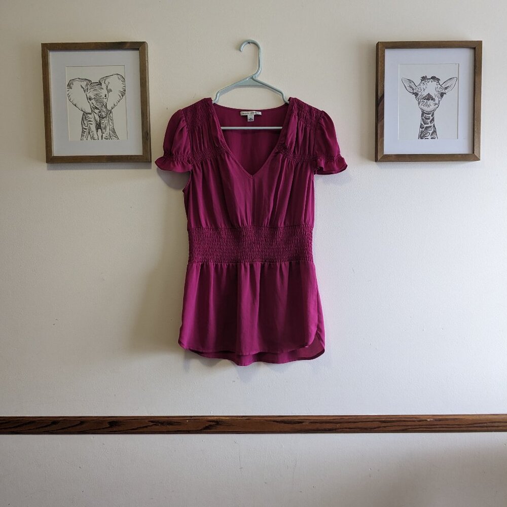 Banana Republic Pink V-neck Short Sleeve Smocked Top Size Medium